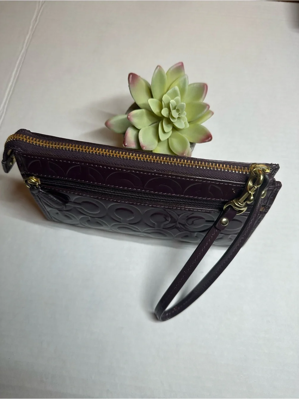 Coach compact wristlet